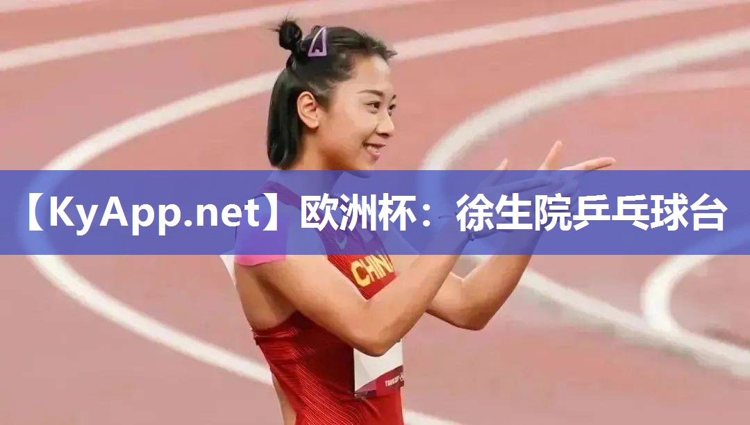徐生院乒乓球台