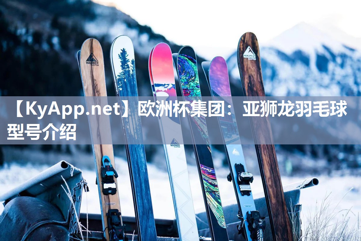 亚狮龙羽毛球型号介绍