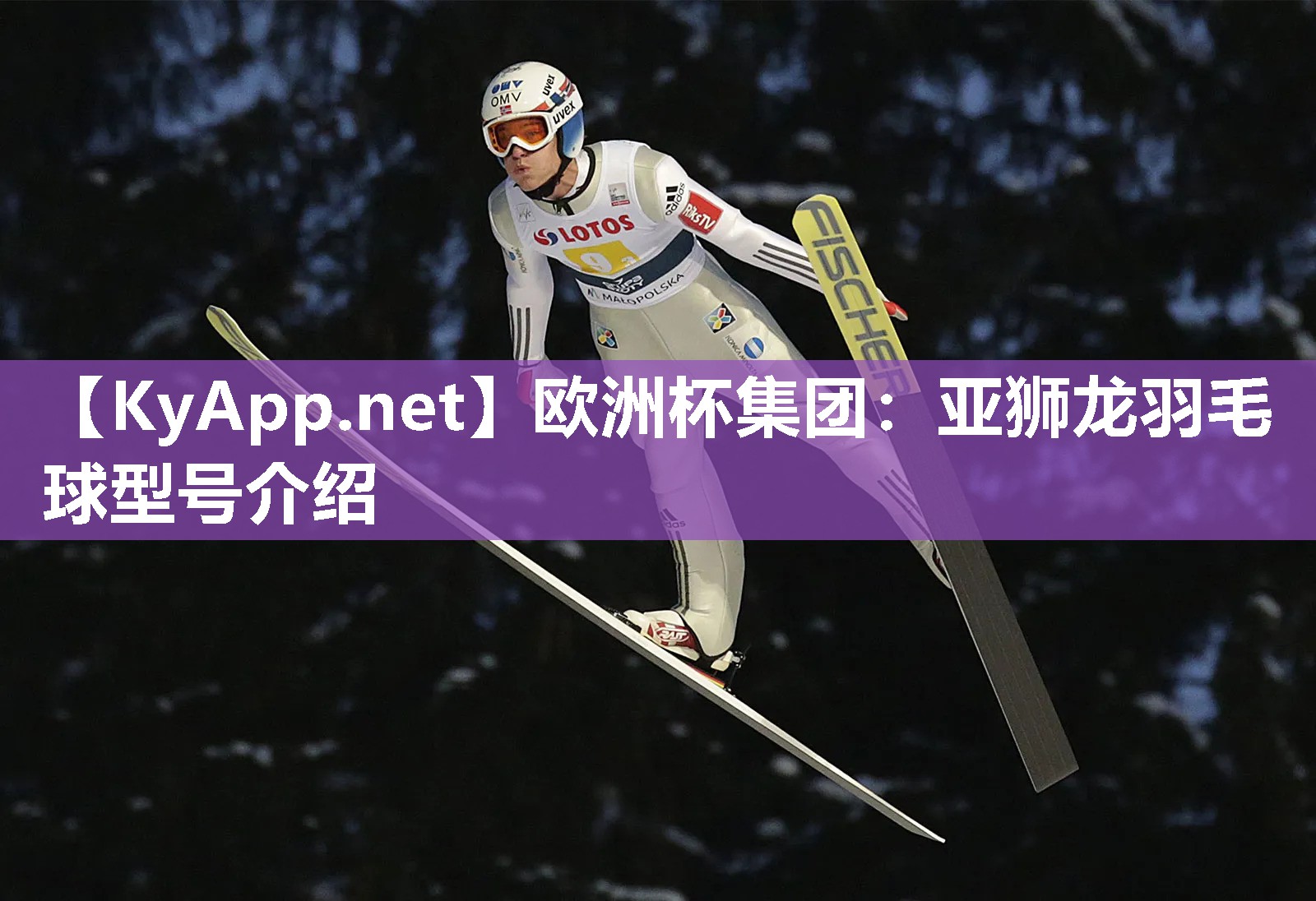 亚狮龙羽毛球型号介绍