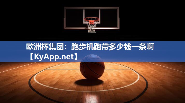 跑步机跑带多少钱一条啊
