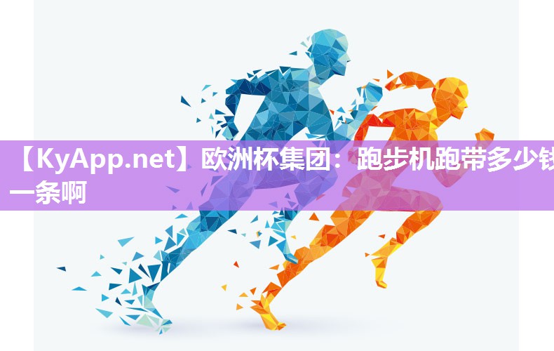 跑步机跑带多少钱一条啊