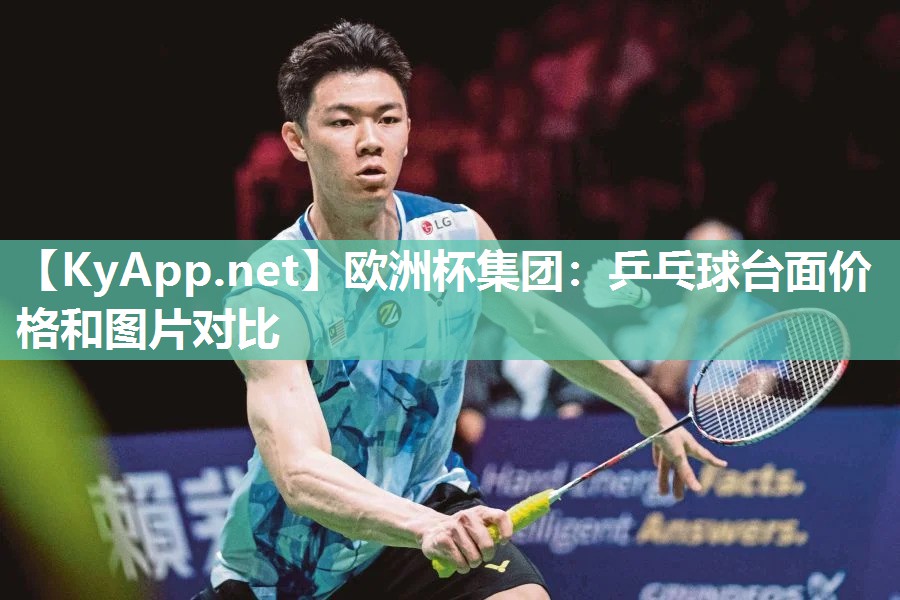 乒乓球台面价格和图片对比